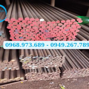 Thép tròn đặc phi 22