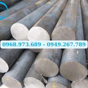 thép tròn đặc phi 220